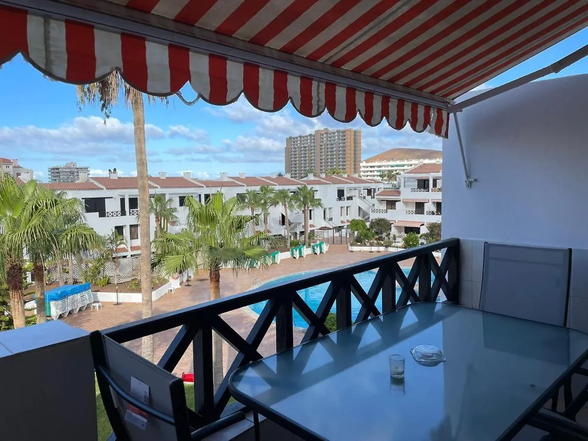 Under The Lime, Beautiful Apartment Los Cristianos Los Cristianos   Los Cristianos (Tenerife)